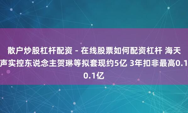 散户炒股杠杆配资 - 在线股票如何配资杠杆 海天瑞声实控东说念主贺琳等拟套现约5亿 3年扣非最高0.1亿